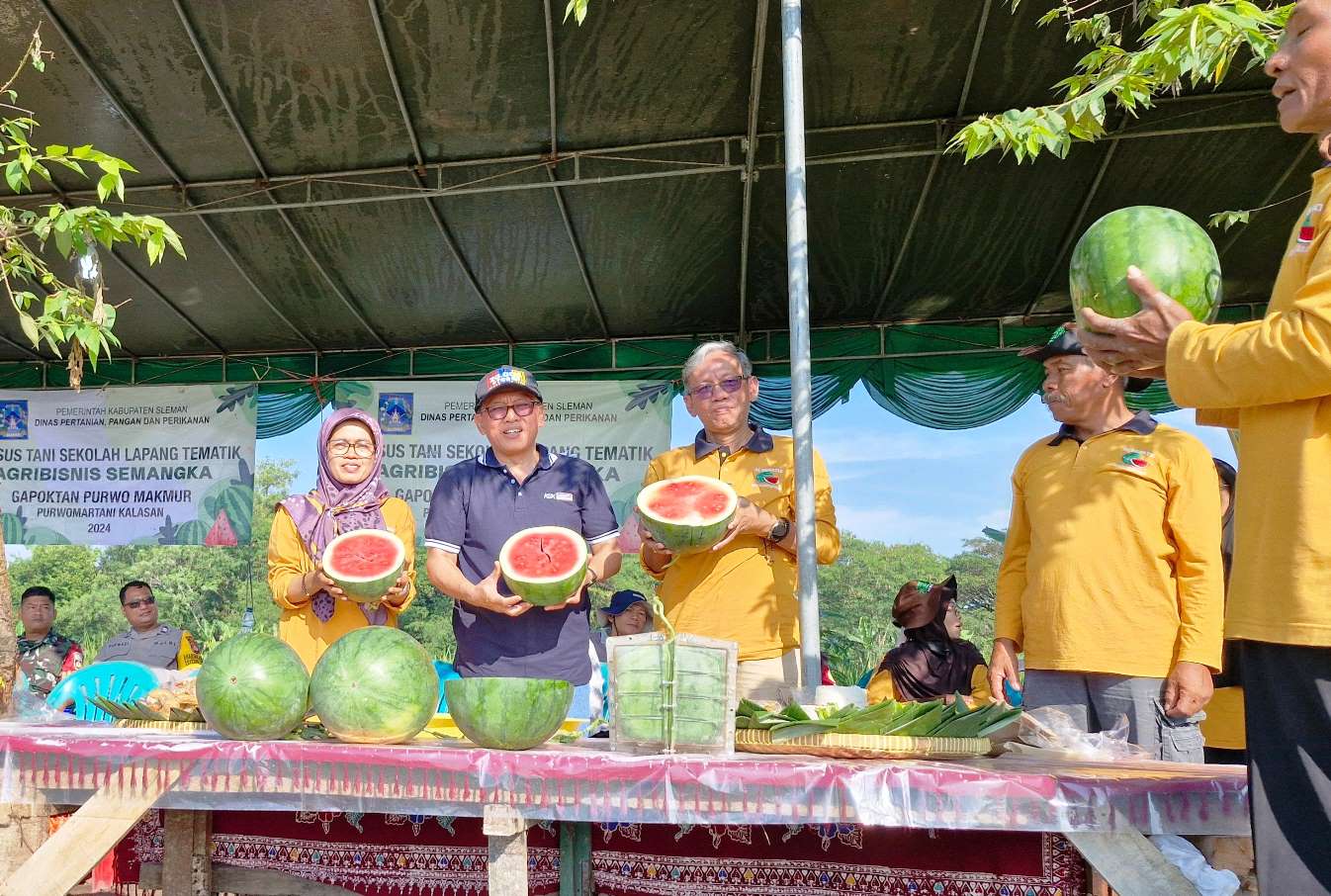 Plt. Kadis Pertanian Sleman Panen Perdana di Demplot SL Tematik Agribisnis Semangka