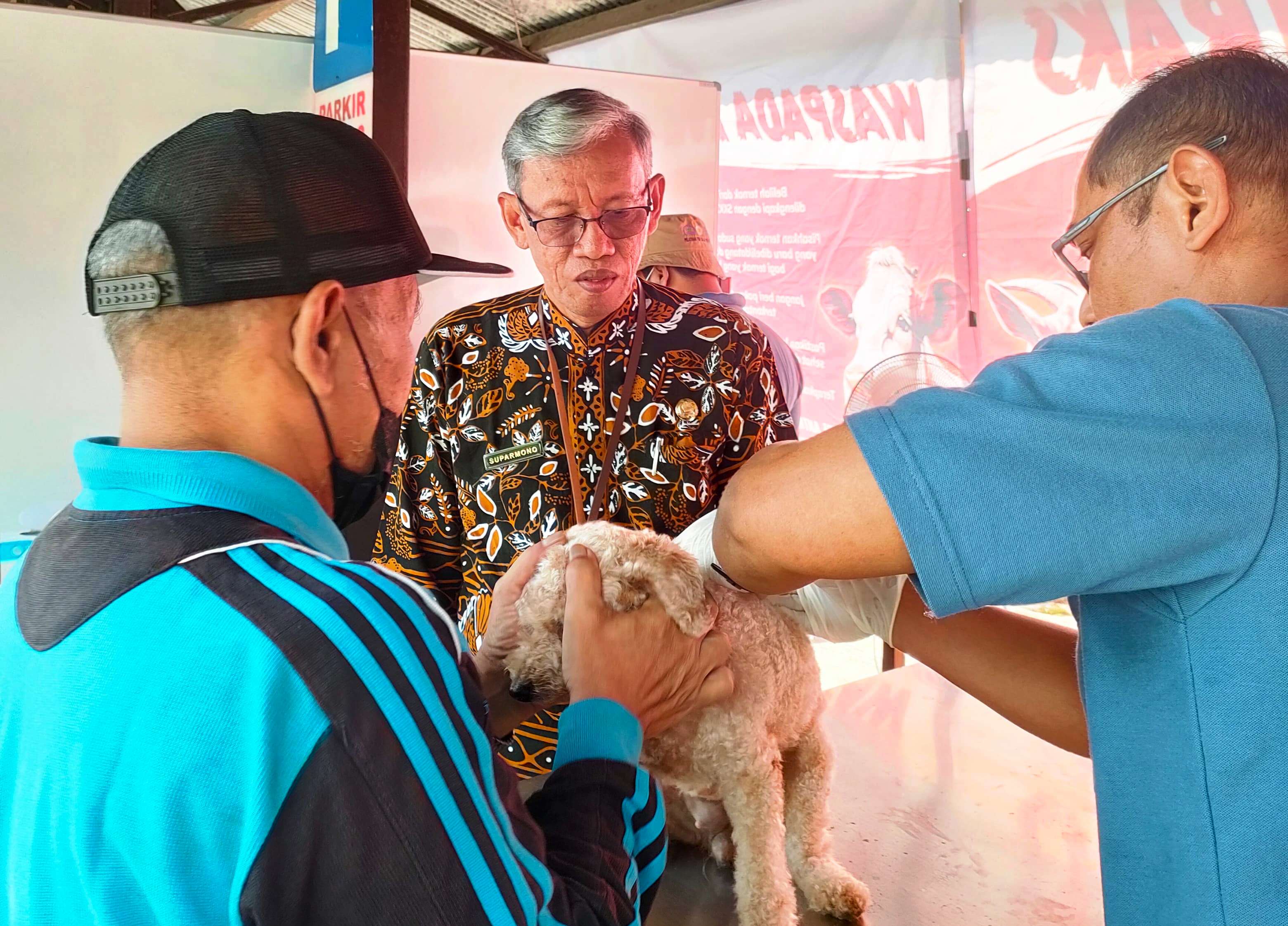 Peringati Hari Rabies Sedunia, Sleman Gelar Vaksinasi Rabies Gratis 125 Dosis