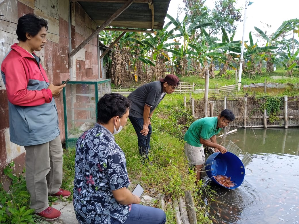 Mina Warta Terima Bantuan Benih Ikan Nila, Kesulitan Bisnis Harus Dihadapi Bukan Diratapi