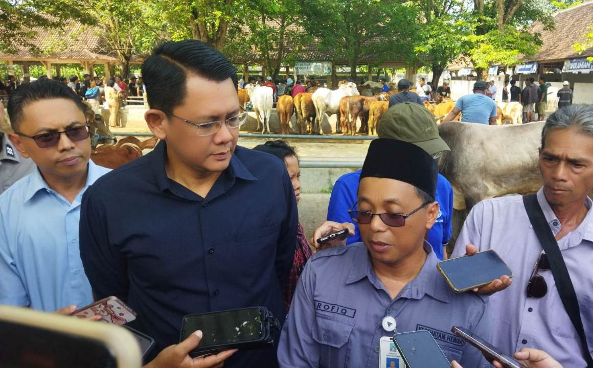 Sleman Defisit Sapi dan Domba Kurban, Butuh 6.000 Ekor Tambahan Jelang Idul Adha