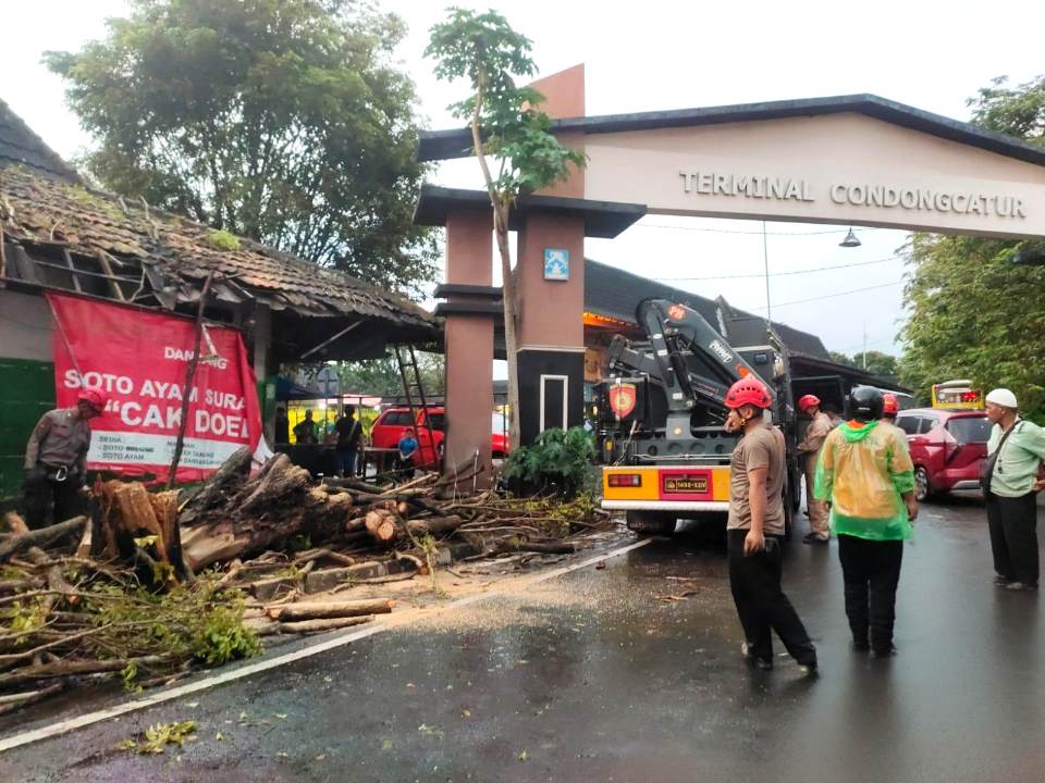 Angin Kencang Terjang Condongcatur, Pohon Tumbang Timpa Kios dan Hotel Grand Keisha
