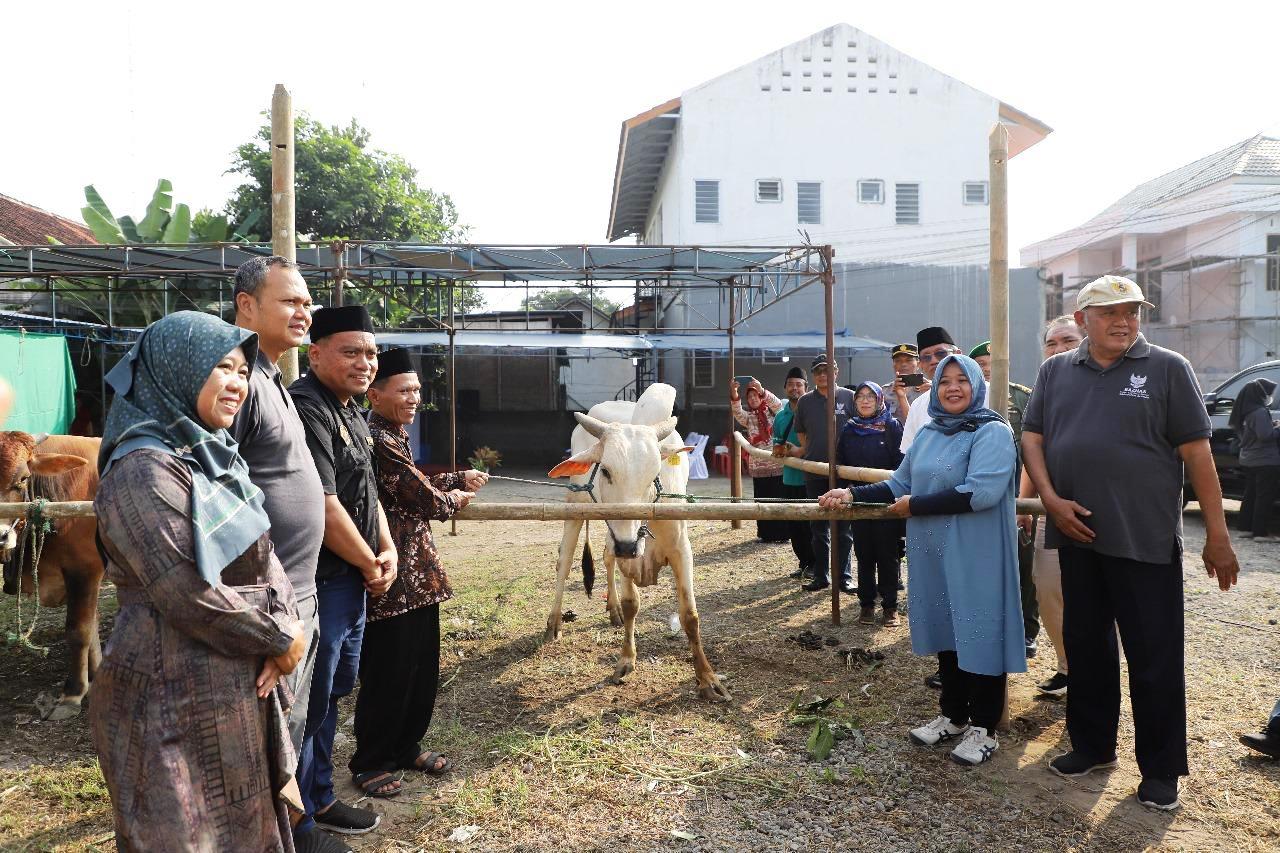 Bupati Sleman Serahkan Bantuan Hewan Kurban Baznas