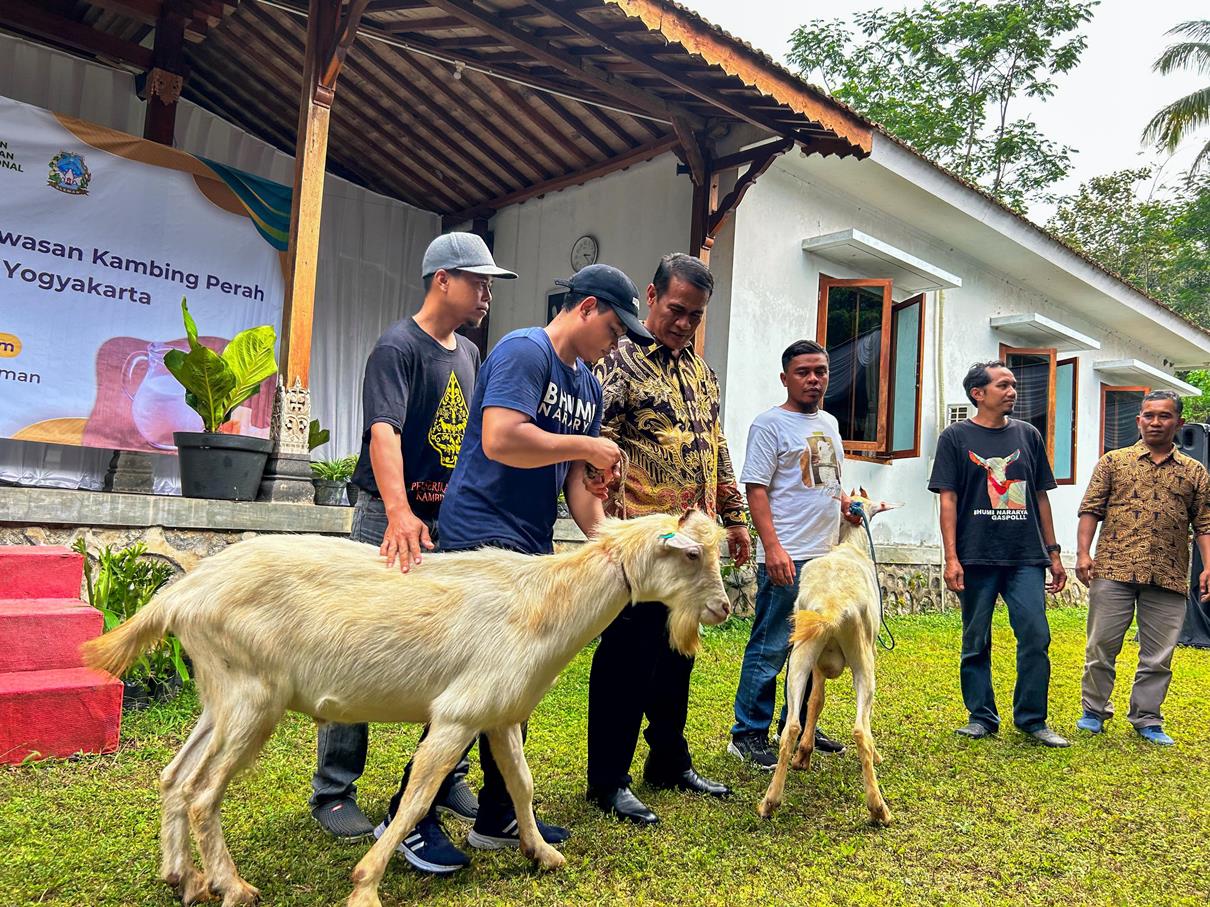 Menteri Pertanian RI Dukung Pengembangan Kawasan Kambing Perah Girikerto