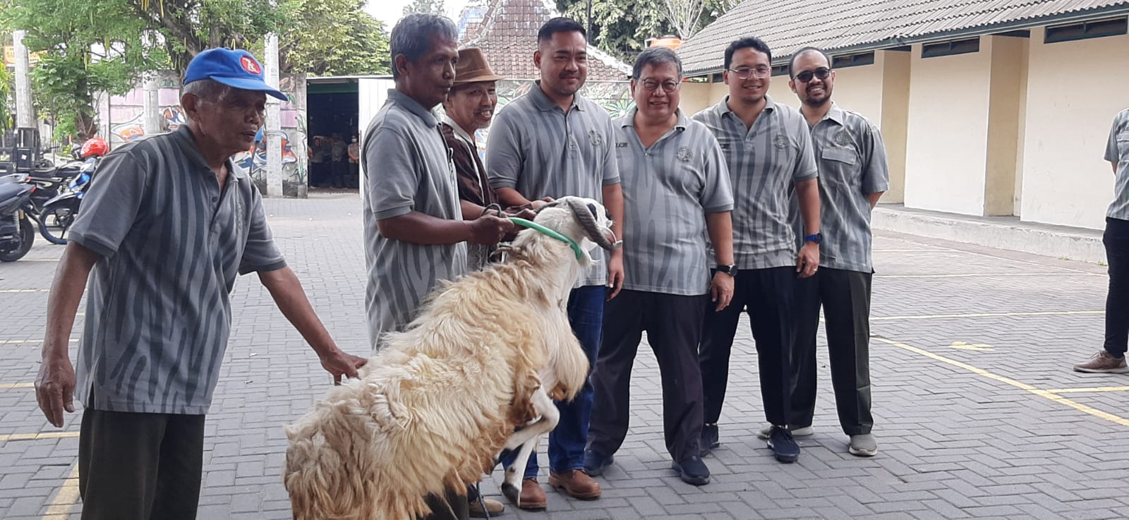 Idul Adha 1444 H, PWI DIY Sembelih 11 Ekor Kambing