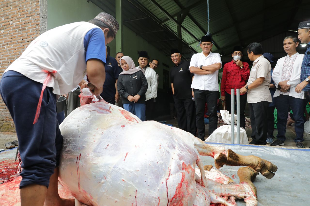 Pemkab Sleman Gelar Pemantauan Penyembelihan Hewan Kurban, Ini Hasilnya