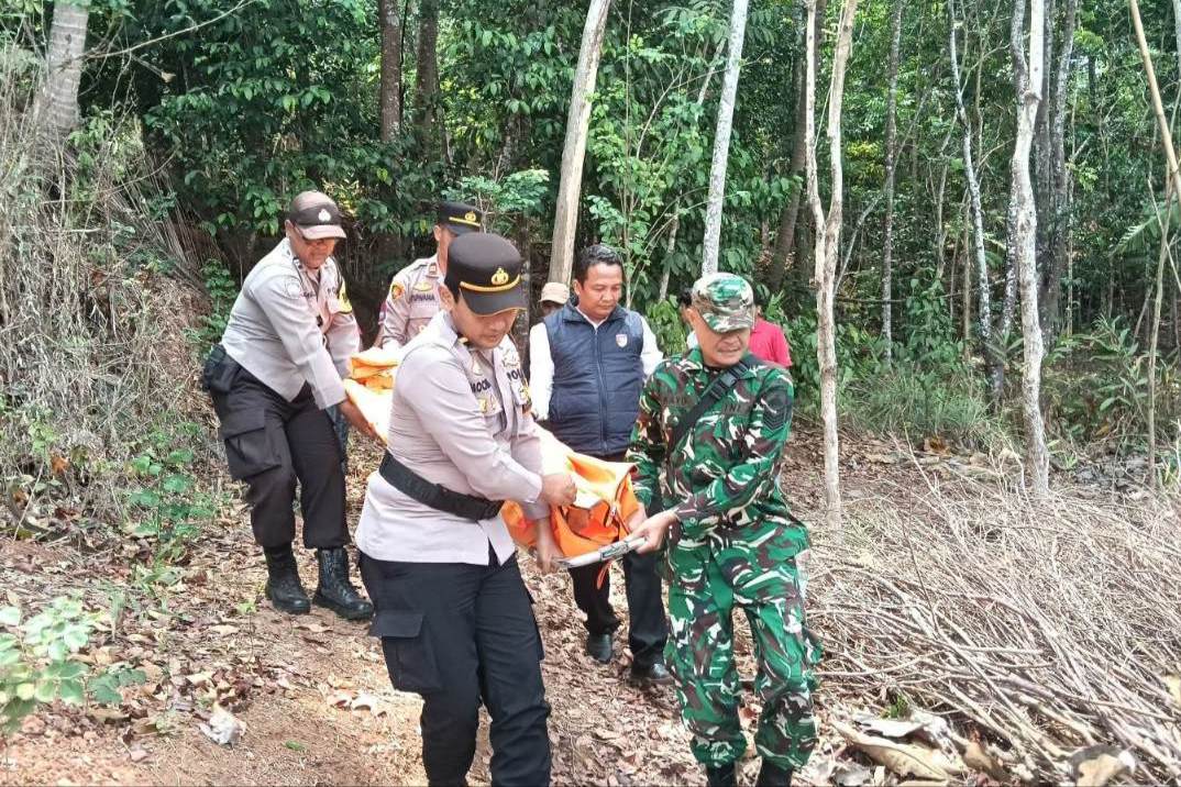 Lansia 70 Tahun di Bantul Tewas Jatuh dari Pohon Setinggi 20 Meter