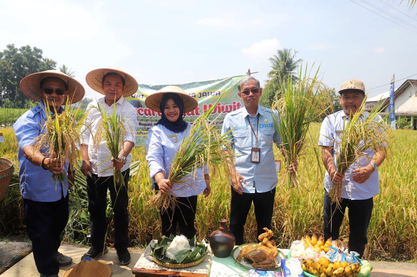 Wiwitan dan Panen Padi ‘Ngudi Makmur’, Kustini: Petani Pahlawan Ketahanan Pangan