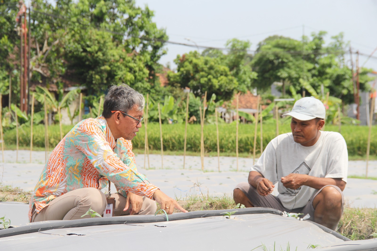 Teknologi Irigasi Tetes, Kunci Sukses Petani Milenial di Sleman