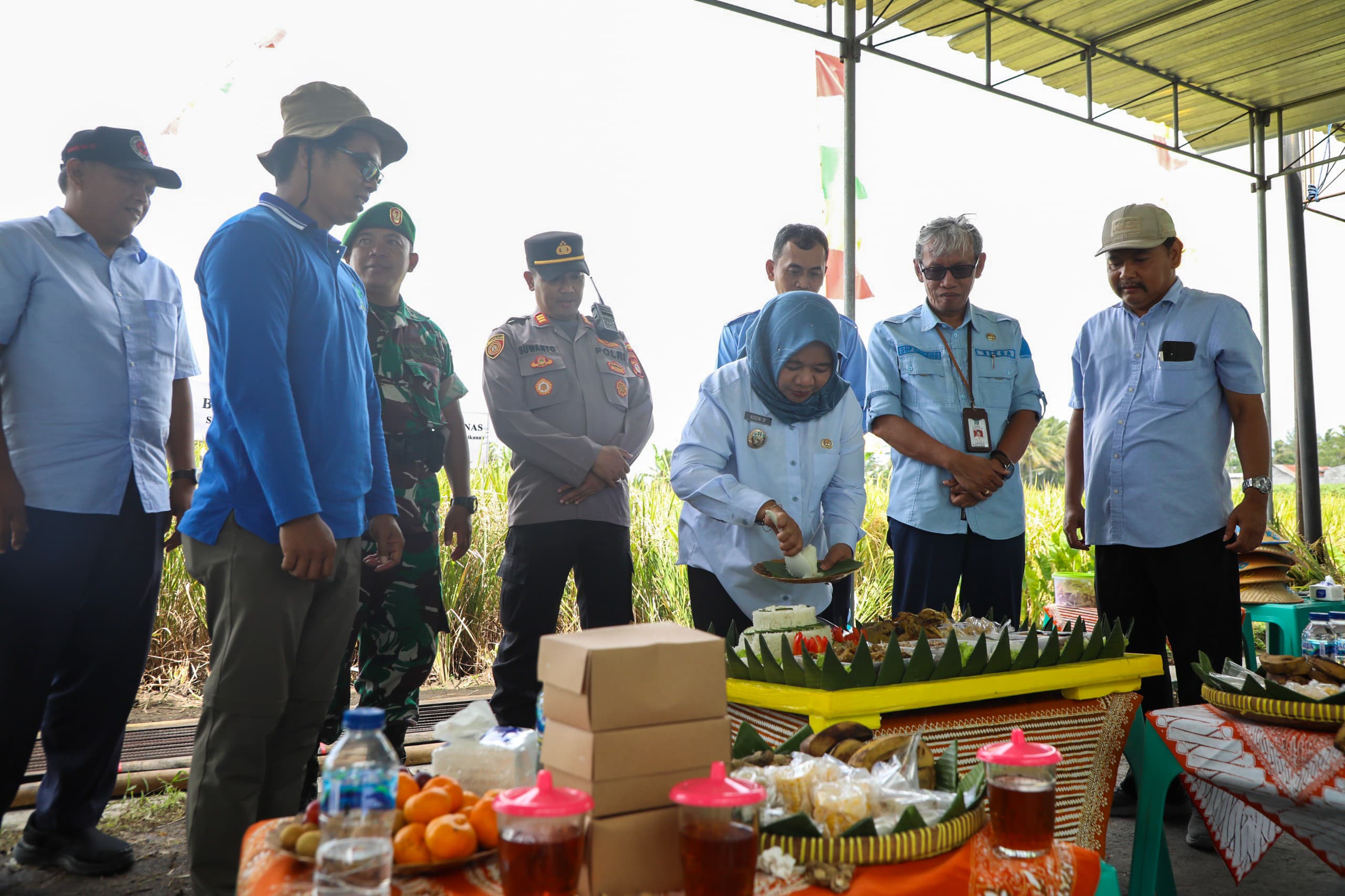 Wiwitan Panen Jadi Upaya Pelestarian Budaya, Bupati Sleman Apresiasi Kelompok Tani Taruno Mulyo