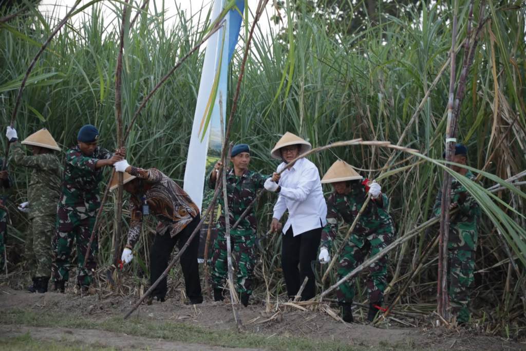 Danang Maharsa Apresiasi Panen Raya Serentak di Lanud Adisutjipto Perkuat Ketahanan Pangan