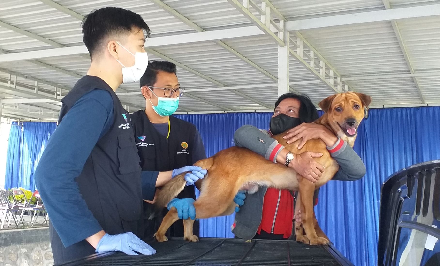 Puncak Word Rabies Day, BBVet Wates Vaksinasi ‘Anjing Gila’ Gratis